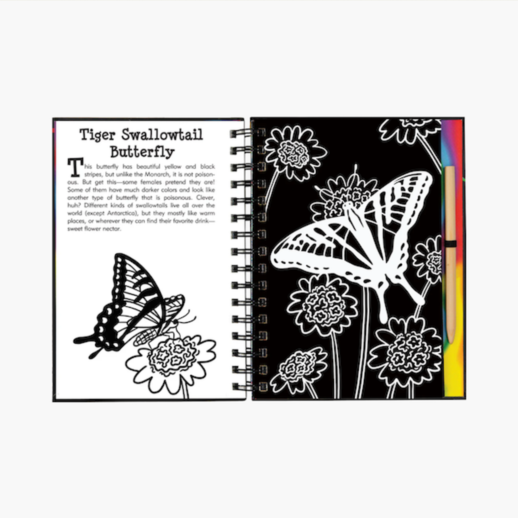 Butterflies & Friends Scratch & Sketch