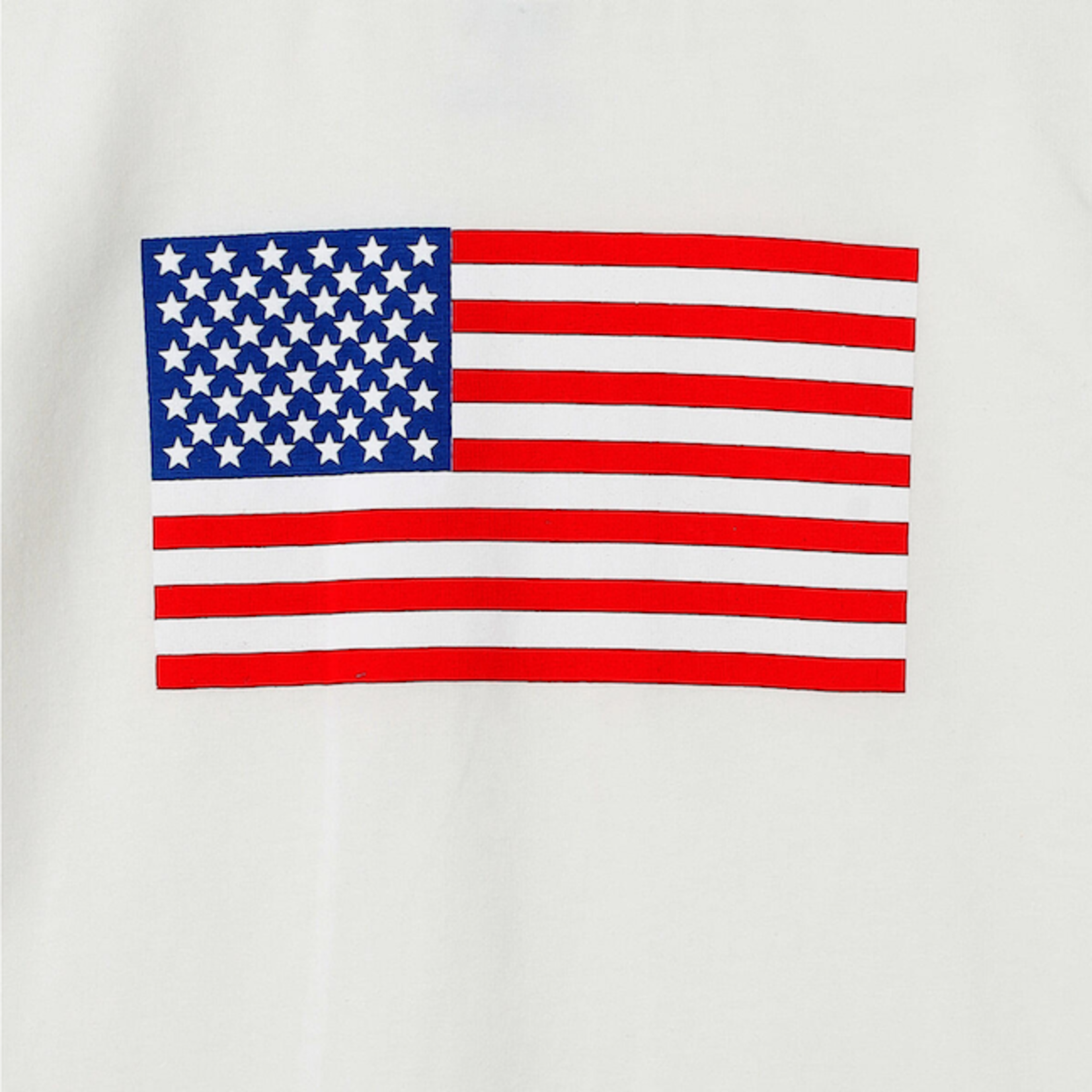 PEDAL American Flag Tee