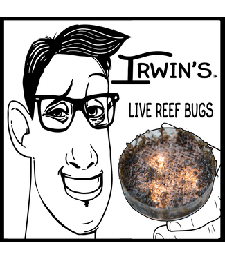 Irwin's Bugs Live Reef Bugs