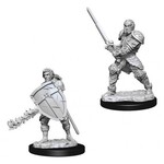WizKids Dungeons and Dragons Nolzur's Marvelous Minis Human Fighter Male