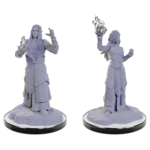 WizKids Dungeons and Dragons Nolzur's Marvelous Minis Elf Wizards