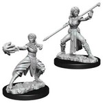 WizKids Dungeons and Dragons Nolzur's Marvelous Minis Female Half-Elf Monk