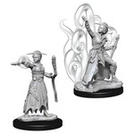 WizKids Dungeons and Dragons Nolzur's Marvelous Minis Female Human Warlock