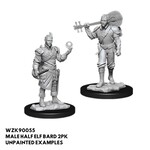 WizKids Dungeons and Dragons Nolzur's Marvelous Minis Male Half-Elf Bard