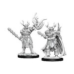 WizKids Pathfinder Deep Cuts Male Half-Orc Druid