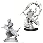 WizKids Dungeons and Dragons Nolzur's Marvelous Minis Tiefling Male Sorcerer