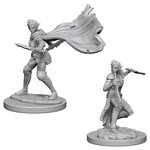 WizKids Pathfinder Deep Cuts Elf Female Rogue