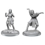 WizKids Pathfinder Deep Cuts Half-Elf Monk Female