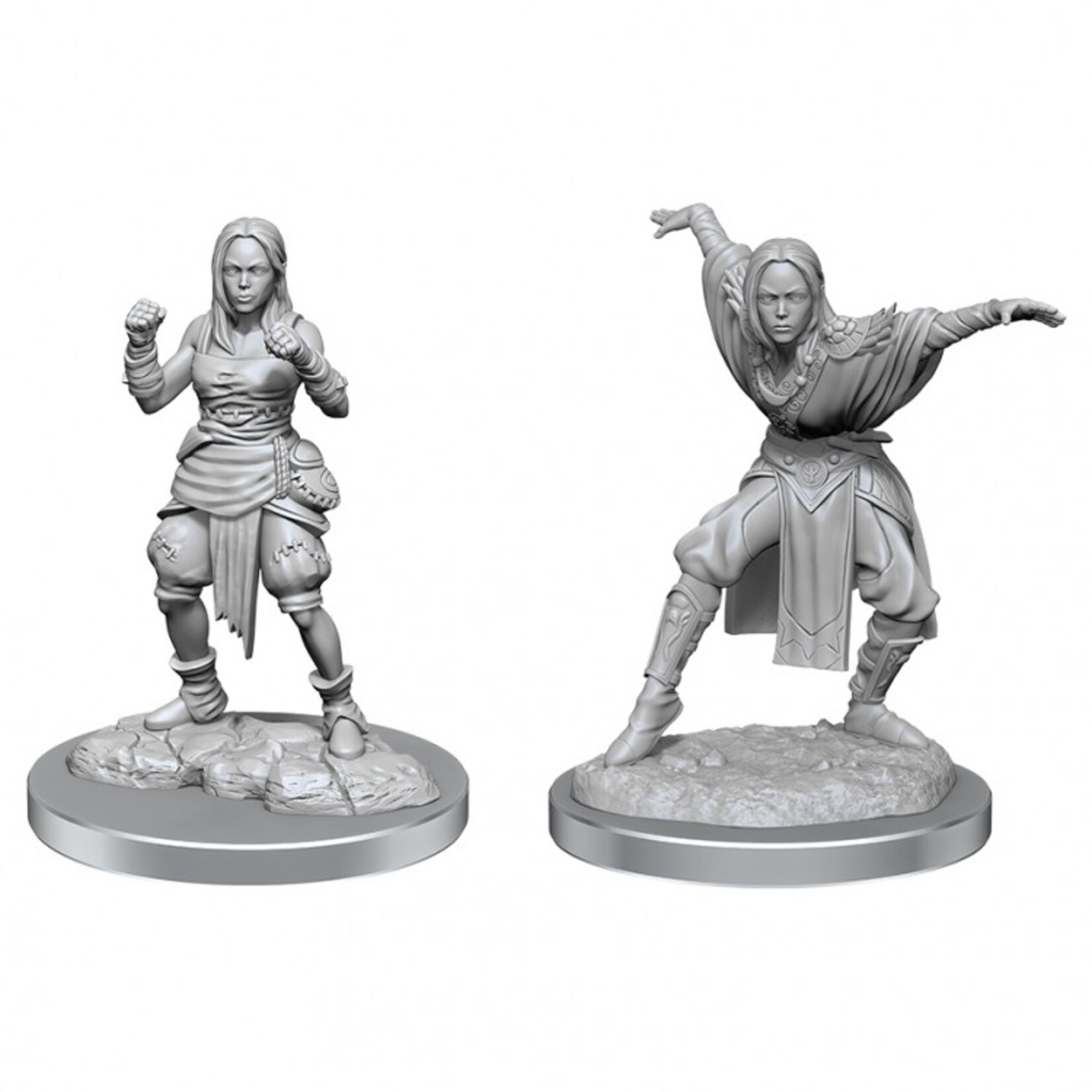 WizKids Pathfinder Deep Cuts Half-Elf Monk Female