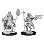 WizKids Dungeons and Dragons Nolzur's Marvelous Minis Multiclass Cleric Wizard Male
