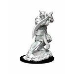 WizKids Dungeons and Dragons Nolzur's Marvelous Minis Efreeti
