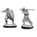 WizKids Dungeons and Dragons Nolzur's Marvelous Minis Human Paladin Male