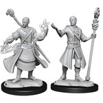 WizKids Dungeons and Dragons Nolzur's Marvelous Minis Half-Elf Wizard Male
