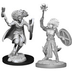 WizKids Dungeons and Dragons Nolzur's Marvelous Minis Changeling Cleric Monk