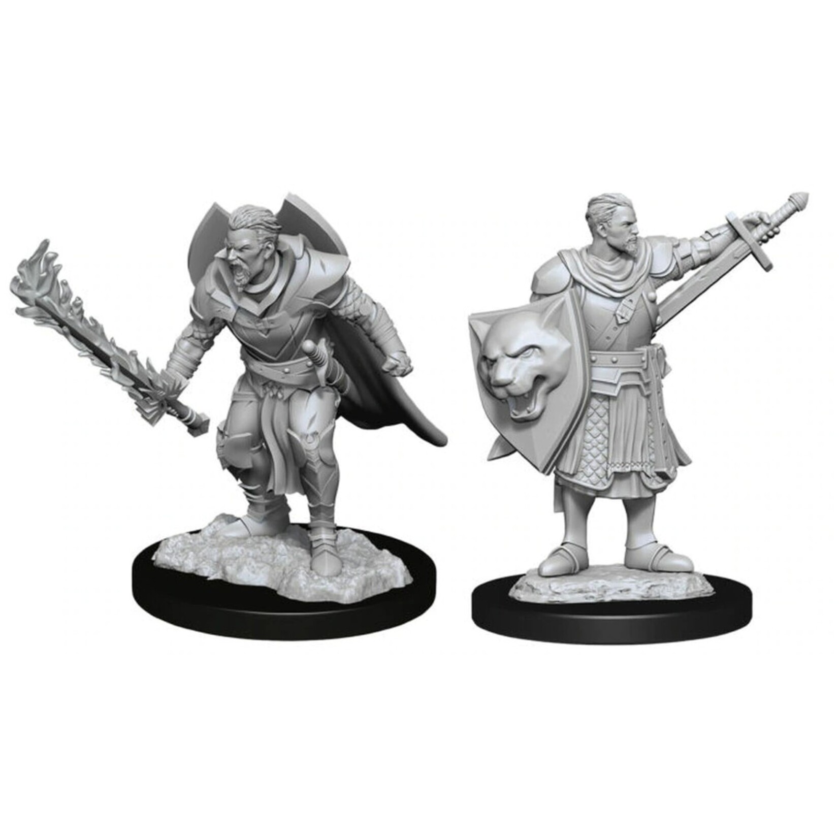 WizKids Pathfinder Deep Cuts Human Champion Male