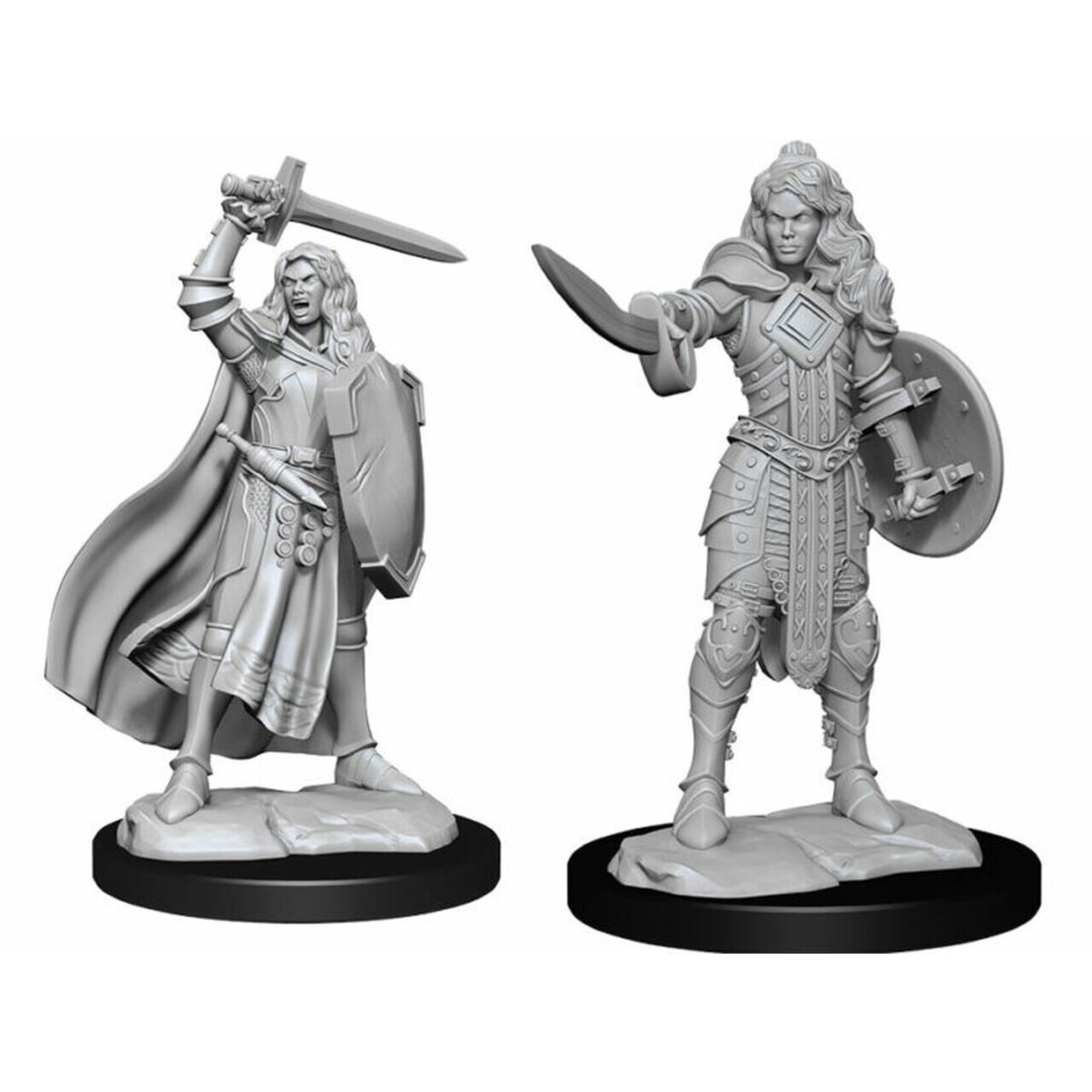 WizKids Pathfinder Deep Cuts Human Champion Female