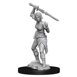 WizKids Magic the Gathering Unpainted Minis Nahiri