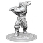 WizKids Dungeons and Dragons Nolzur's Marvelous Minis Ogre Female