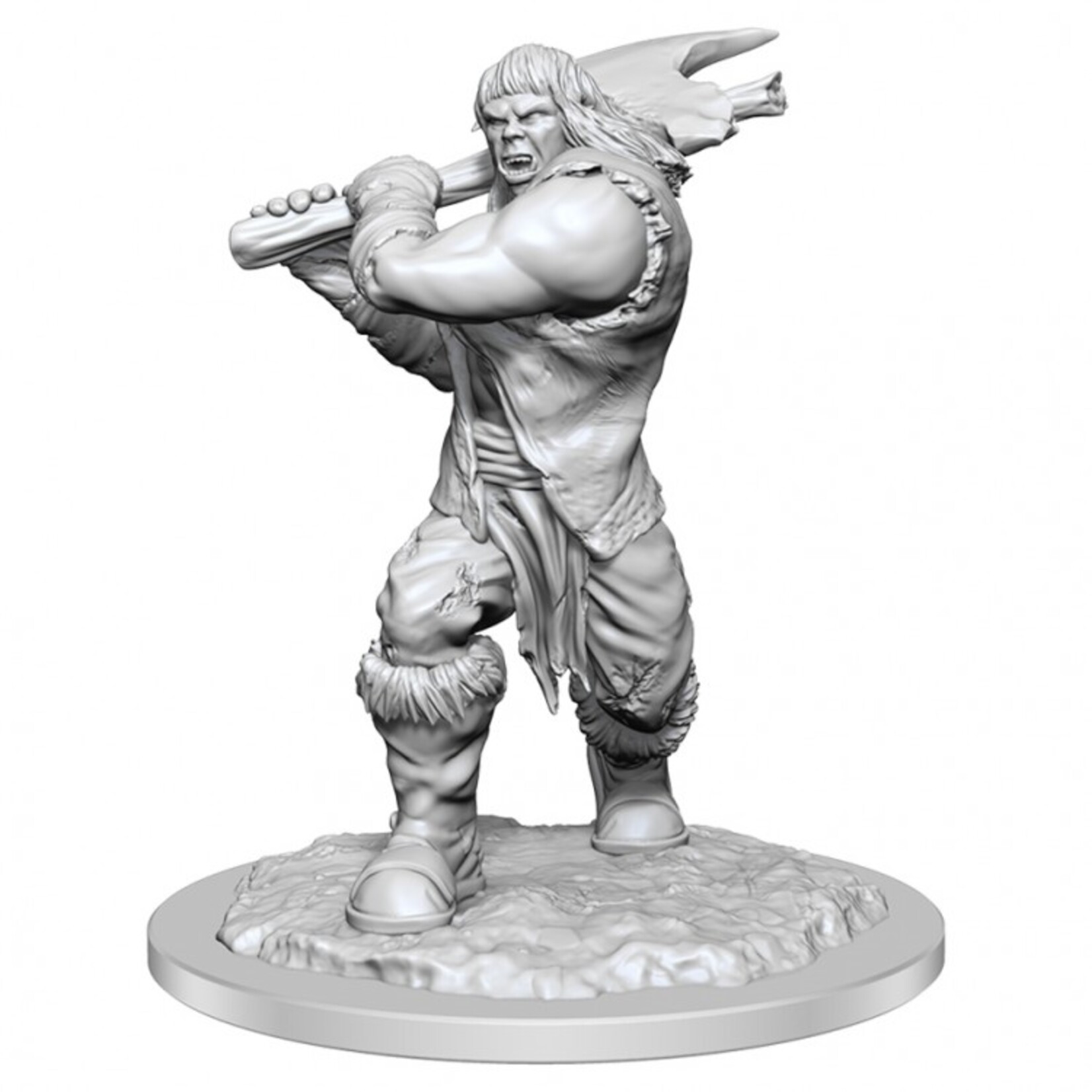 WizKids Dungeons and Dragons Nolzur's Marvelous Minis Ogre Female