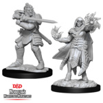 WizKids Dungeons and Dragons Nolzur's Marvelous Minis Hobgoblin Fighter Male and Hobgoblin Wizard Female