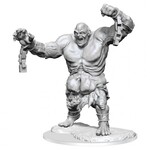 WizKids Dungeons and Dragons Nolzur's Marvelous Minis Mouth of Grolantor