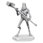 WizKids Dungeons and Dragons Nolzur's Marvelous Minis Tomb Tapper