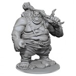 WizKids Dungeons and Dragons Nolzur's Marvelous Minis Hill Giant