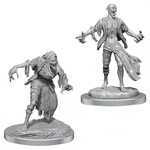 WizKids Dungeons and Dragons Nolzur's Marvelous Minis Nosferatu