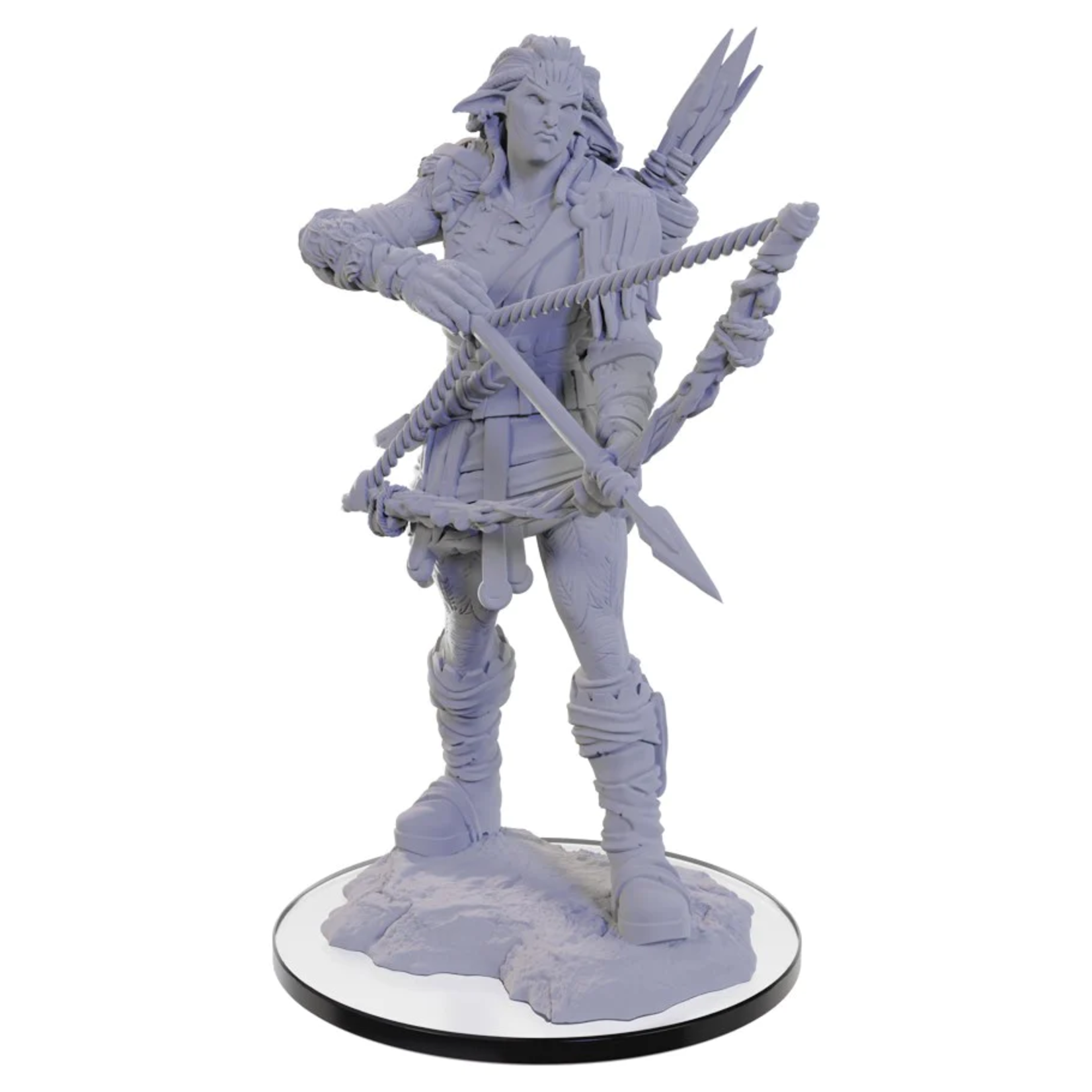 WizKids Pathfinder Deep Cuts Wood Giant