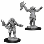 WizKids Dungeons and Dragons Nolzur's Marvelous Minis Female Dragonborn Fighter