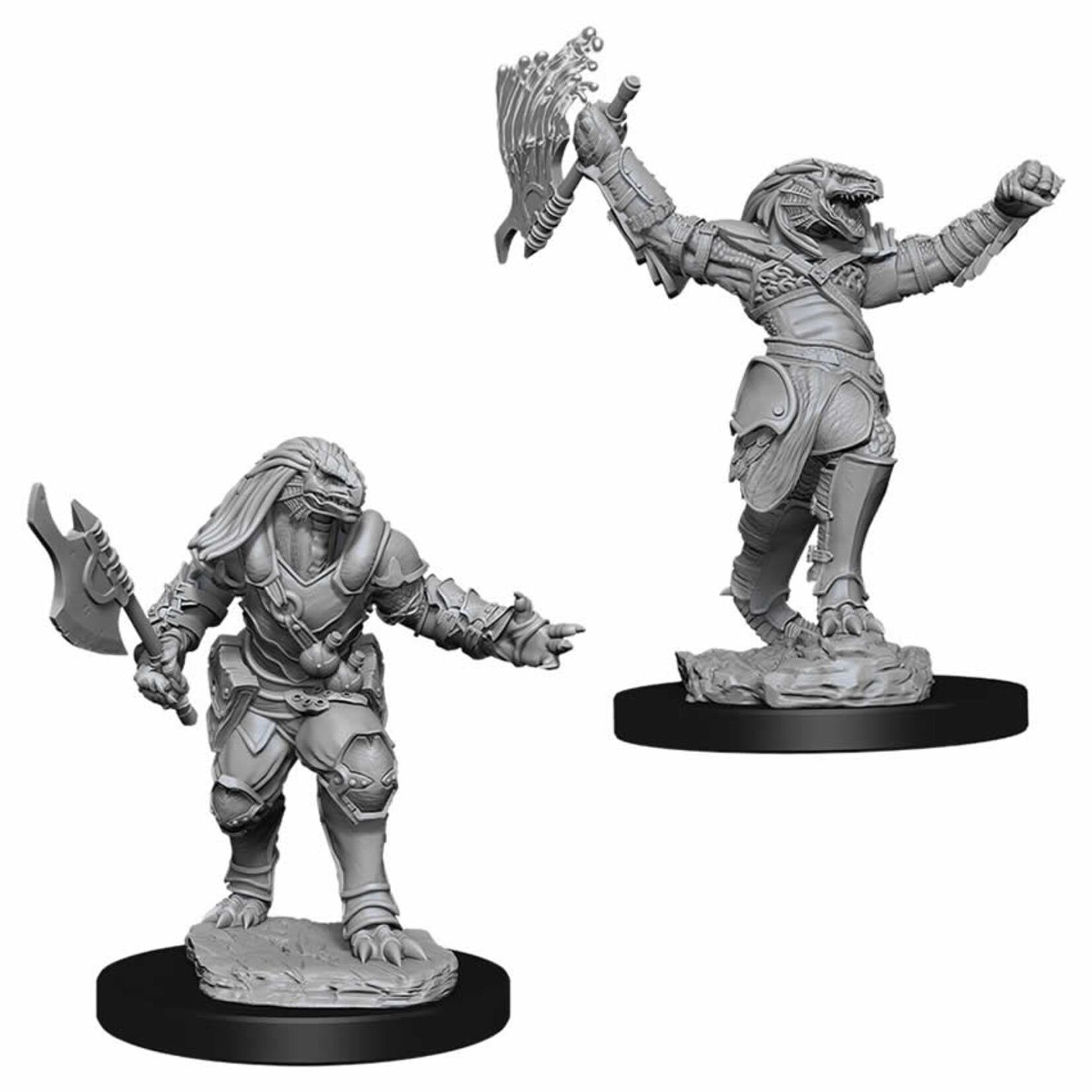 WizKids Dungeons and Dragons Nolzur's Marvelous Minis Female Dragonborn Fighter