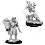 WizKids Dungeons and Dragons Nolzur's Marvelous Minis Male Human Druid