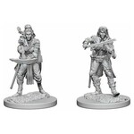 WizKids Pathfinder Deep Cuts Elf Female Bard