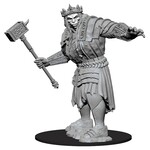 WizKids Dungeons and Dragons Nolzur's Marvelous Minis Fire Giant