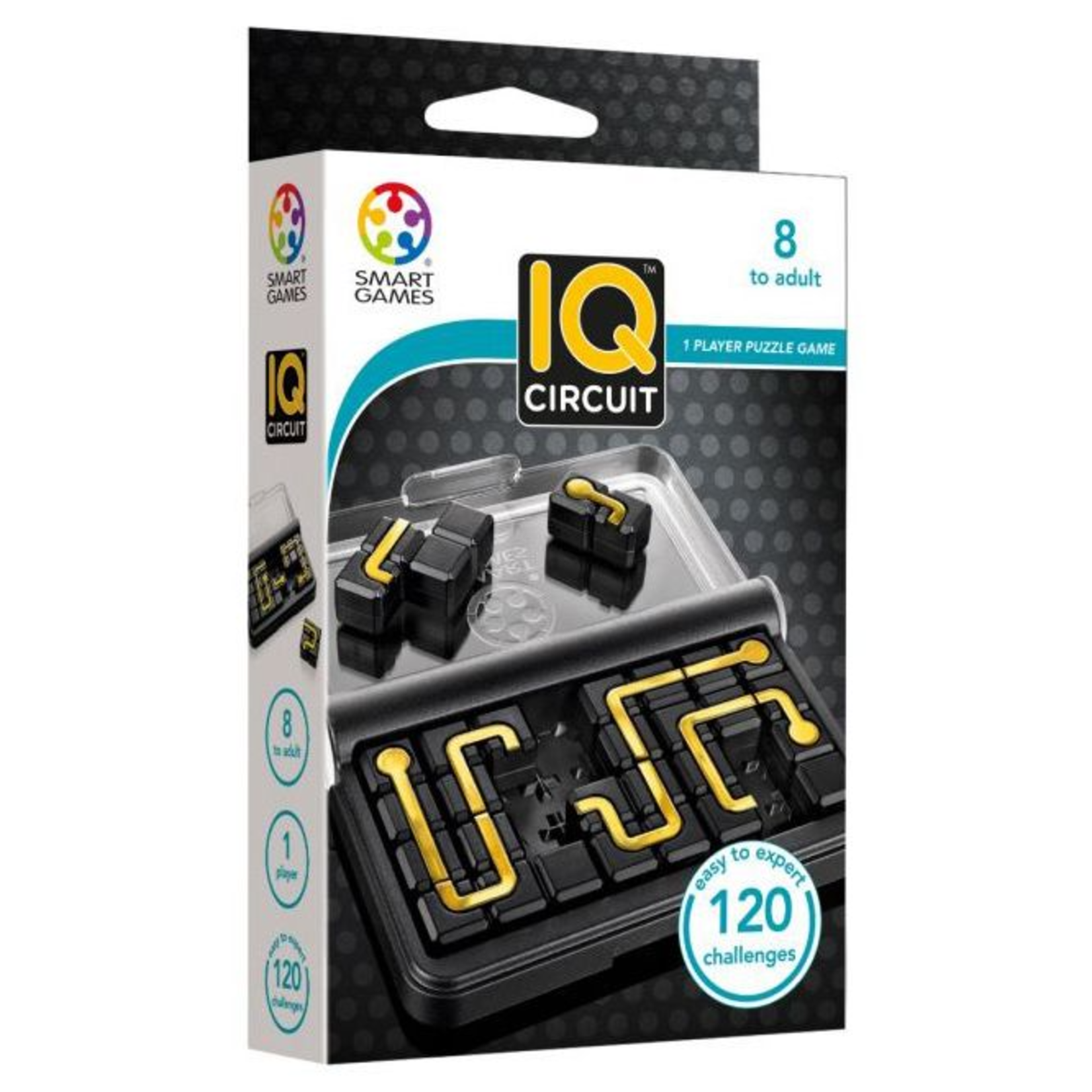 Smart Toys and Games IQ Circuit