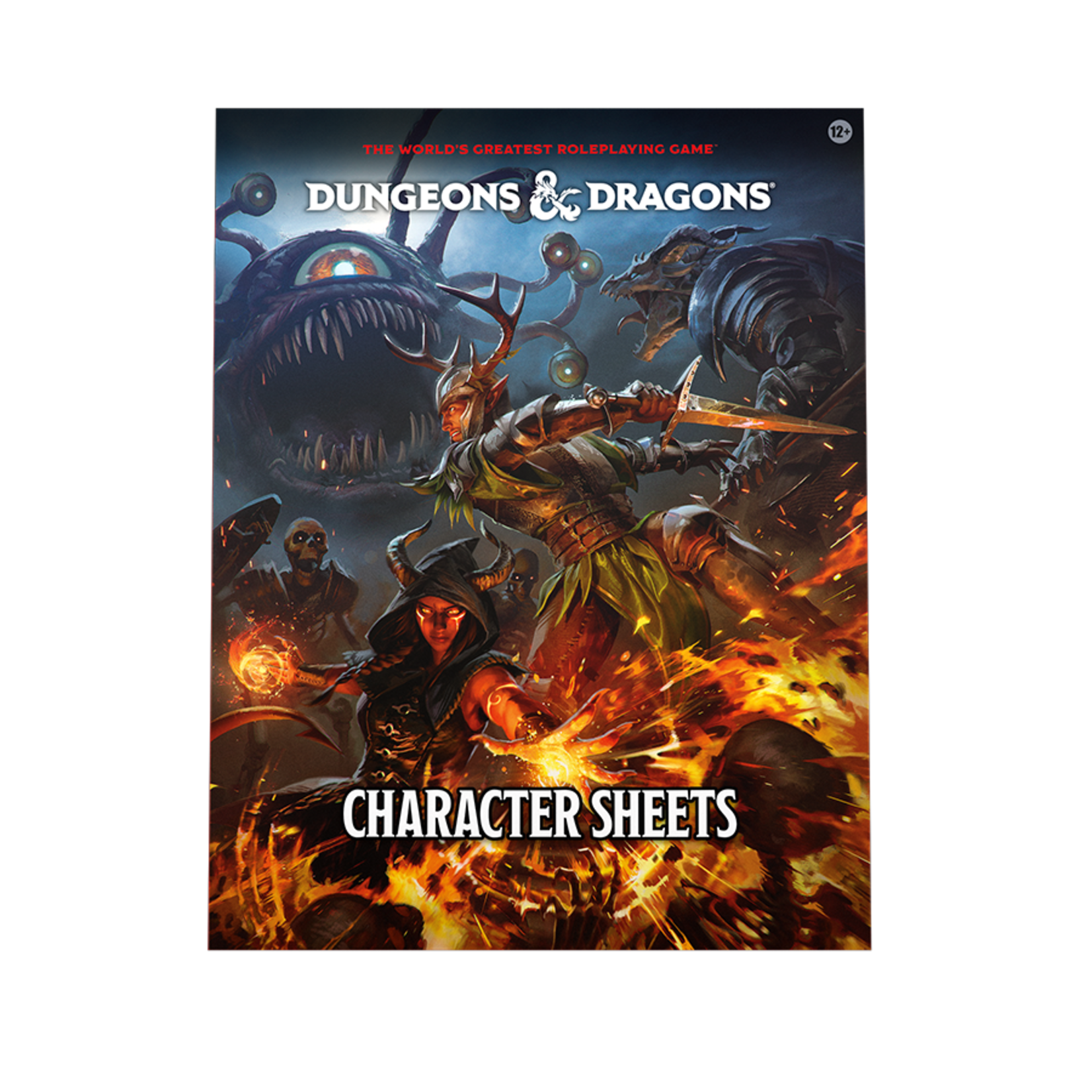 Wizards of the Coast Dungeons and Dragons Character Sheets 2024
