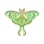 Magia Design Vibrant Butterfly Enamel Pin Green