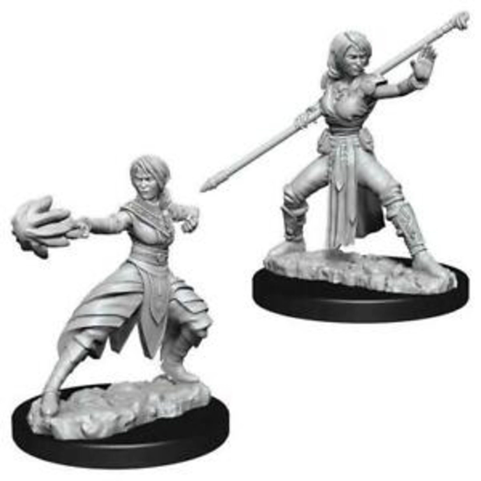 WizKids Dungeons and Dragons Nolzur's Marvelous Minis Female Half-Elf Monk