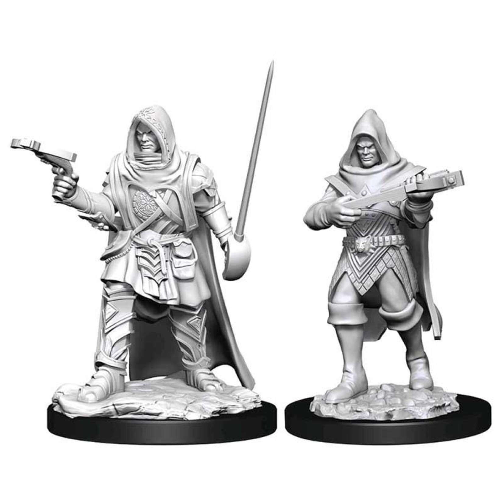 WizKids Pathfinder Deep Cuts Human Rogue Male