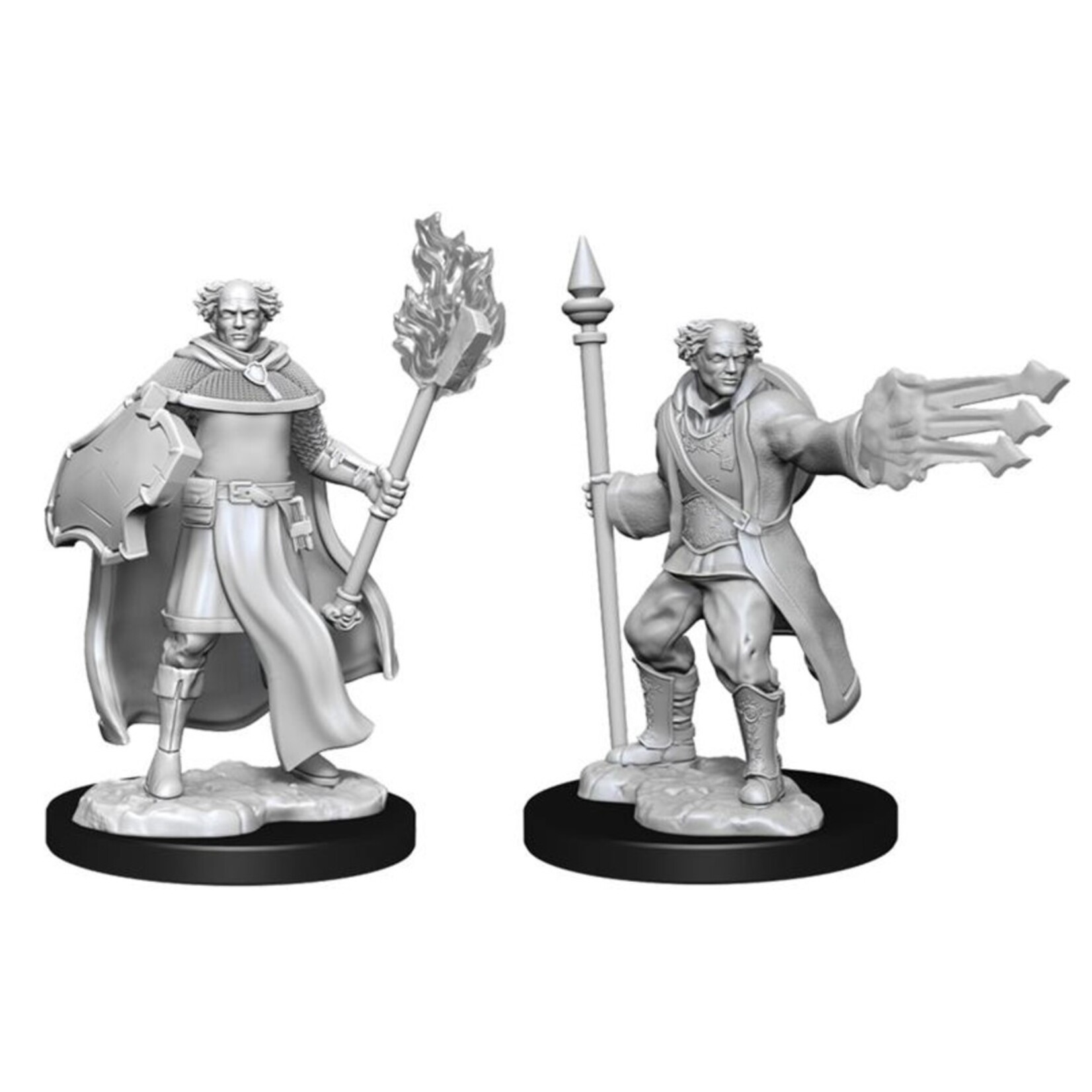 WizKids Dungeons and Dragons Nolzur's Marvelous Minis Multiclass Cleric Wizard Male