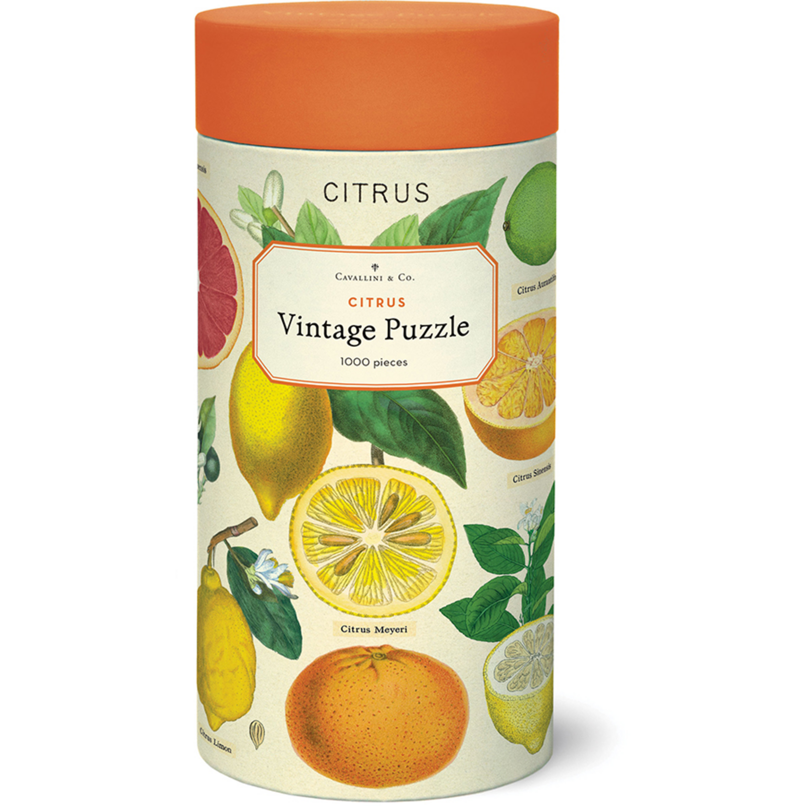 Cavallini and Co 1000 pc Puzzle Citrus