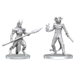 WizKids Pathfinder Battles Deep Cuts Vordine and Pitborn Rogue