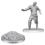WizKids Dungeons and Dragons Nolzur's Marvelous Minis Rot Grubs and Rot Grub Victim