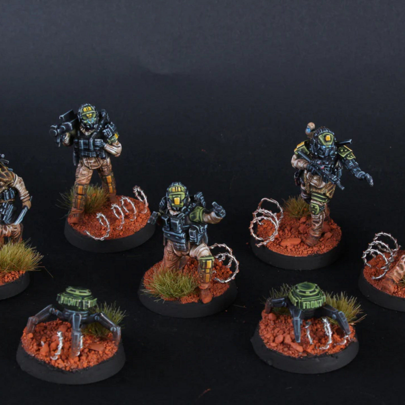 BLKOUT BLKOUT Harlow Strikeforce