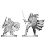 WizKids Dungeons and Dragons Nolzur's Marvelous Minis Dwarf Fighter and Orc Paladin