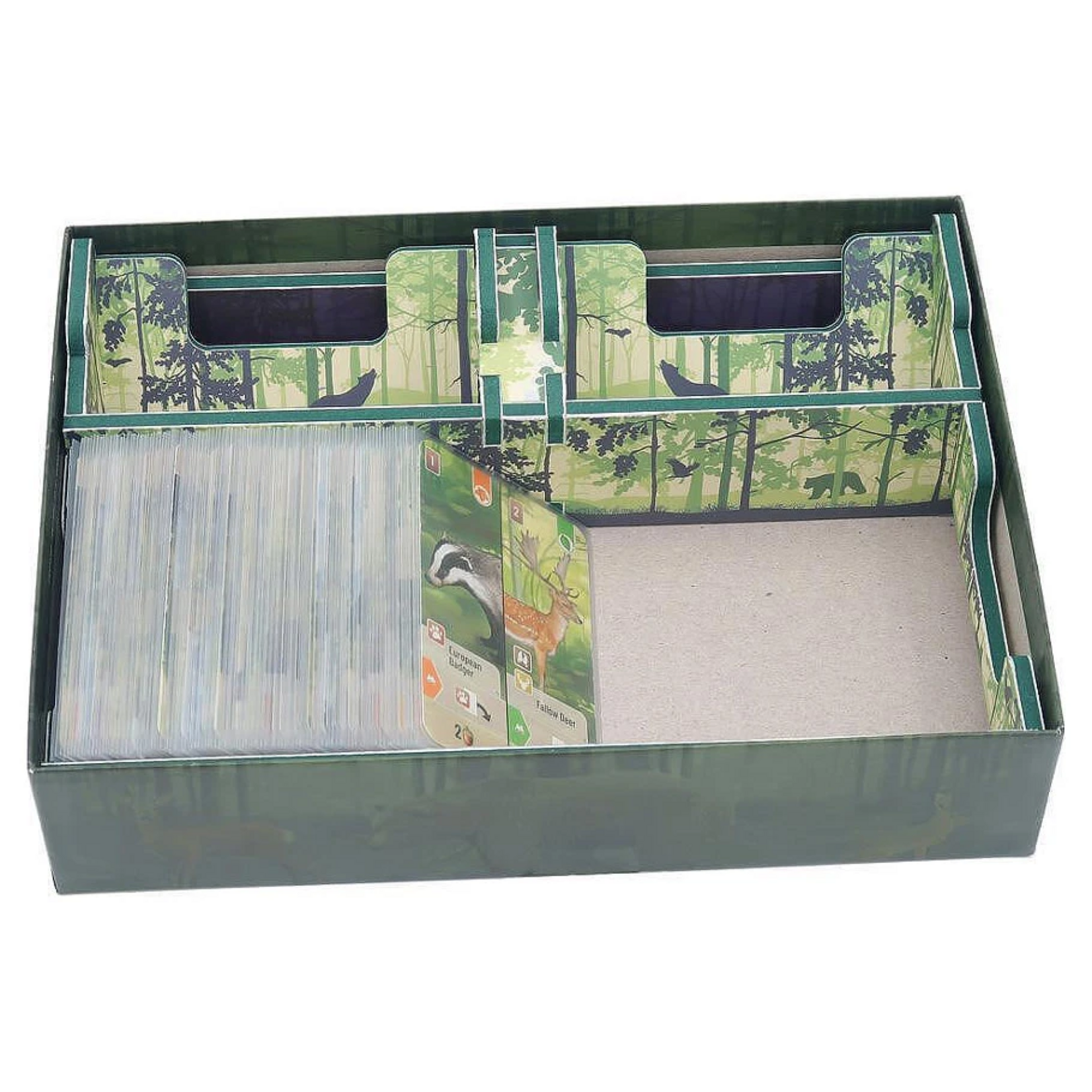 Folded Space Folded Space Box Insert Color Forest Shuffle