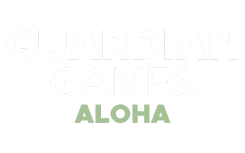 Guardian Games Aloha | Tabletop Games For Everyone