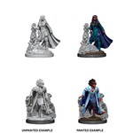 WizKids Dungeons and Dragons Nolzur's Marvelous Minis Female Tiefling Sorceror