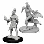 WizKids Pathfinder Deep Cuts Elf Female Sorcerer