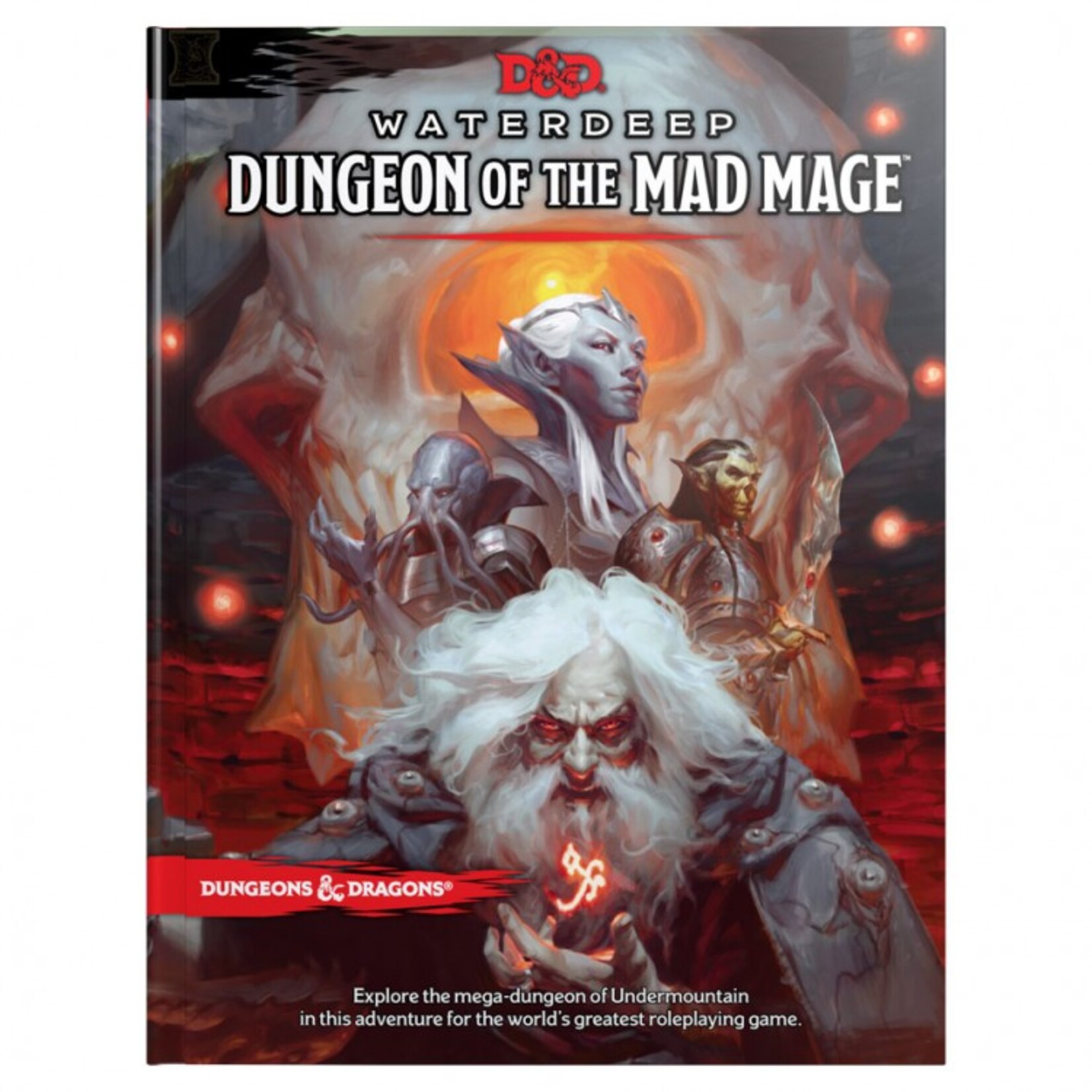 Wizards of the Coast Dungeons and Dragons Waterdeep Dungeon of the Mad Mage